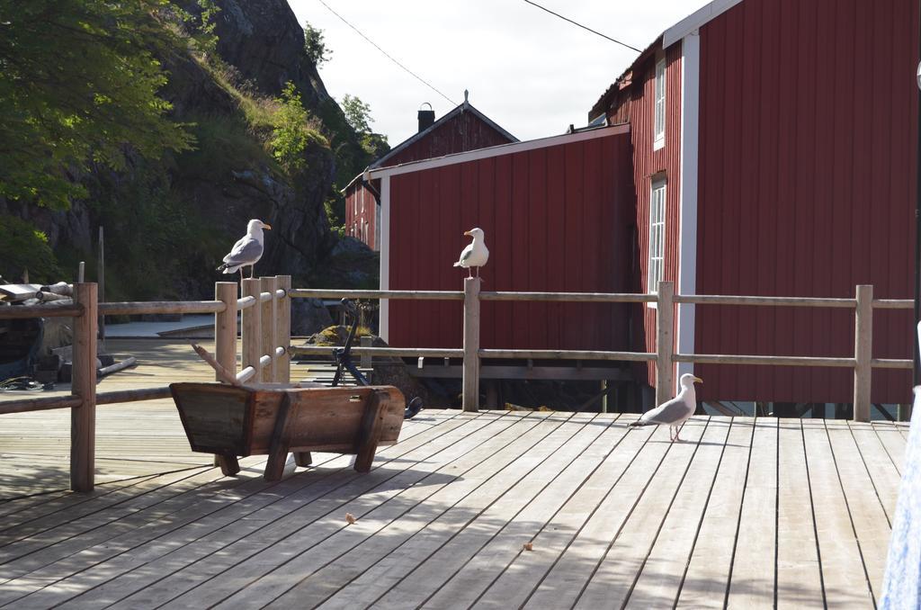 Lofoten Cabins - Sund Sund  エクステリア 写真
